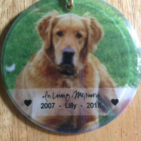 Meet your Posher, Jayme - Picture 1 of 1